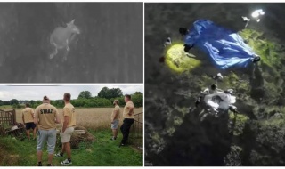Kangur złapany! Przegrał z dronem i uporem druhów z Rozprzy. "Zwierzę jest całe i zdrowe" [Wideo, foto]