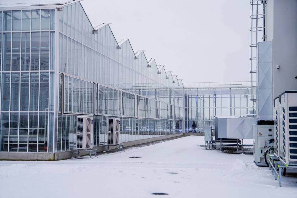 DSC01318__20251125-161434_1